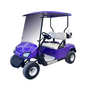2 seater olf cart