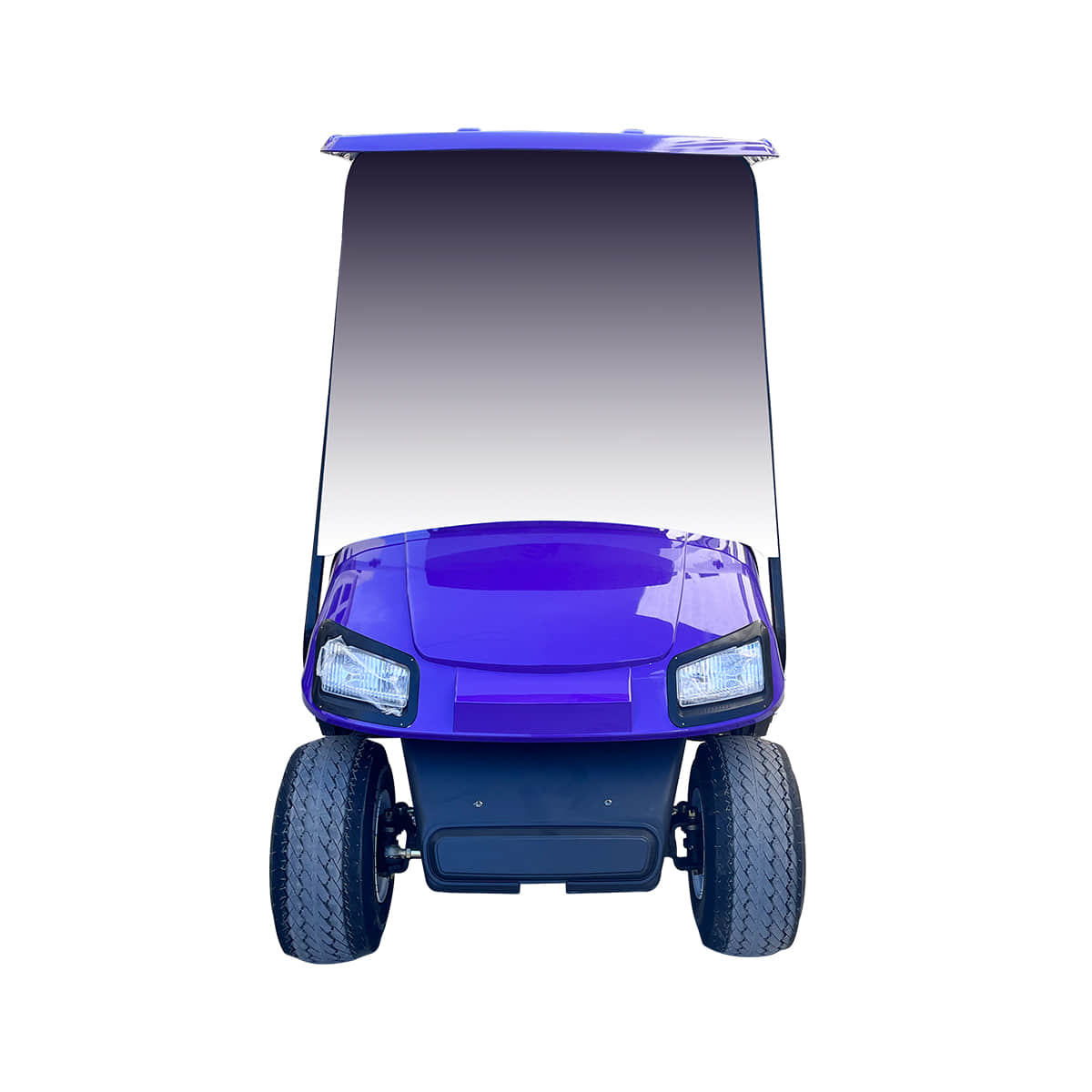 2 Seats Electric Golf buggy suitable for resort 15 2 passenger golf cart