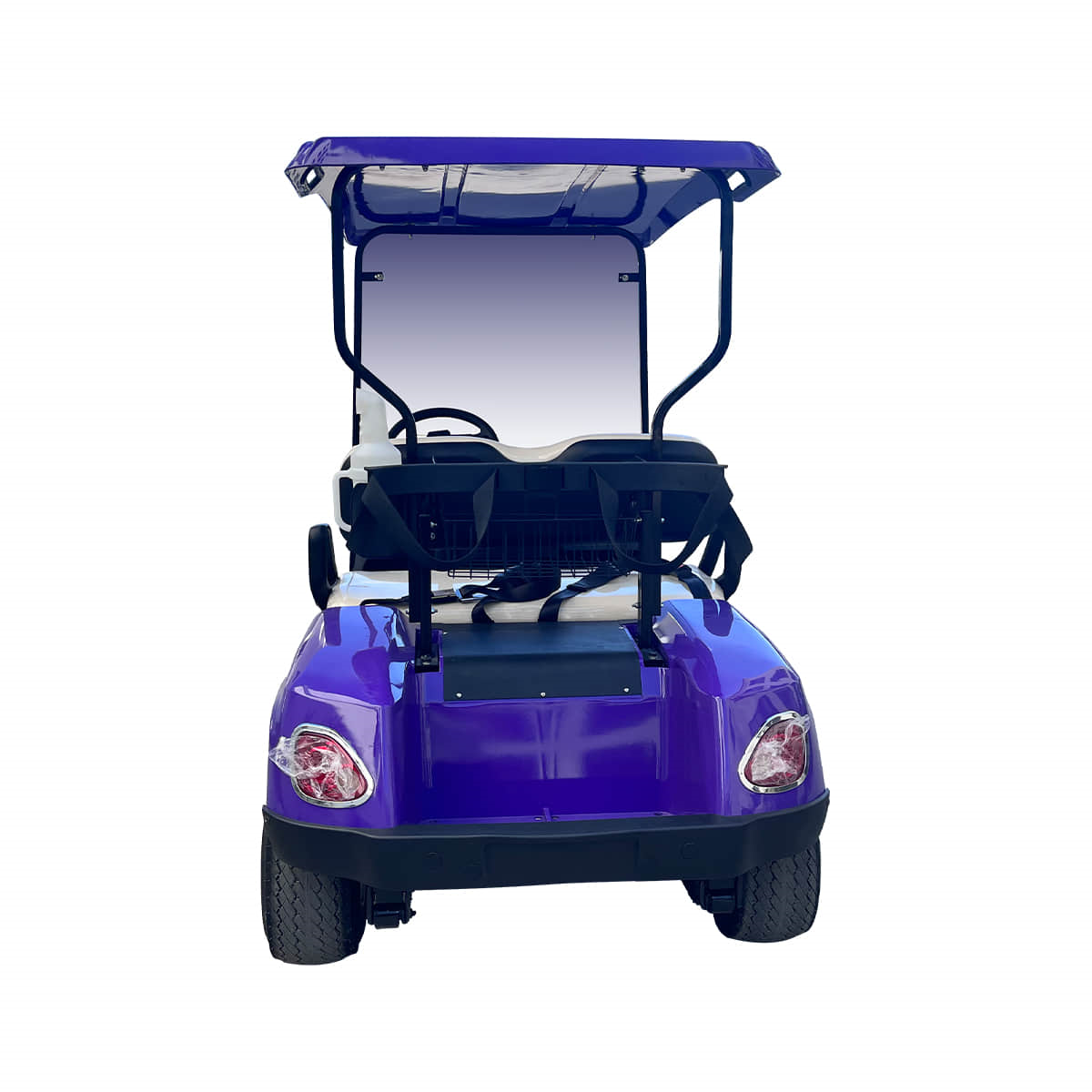 2 Seats Electric Golf buggy suitable for resort 18 2 seats golf cart