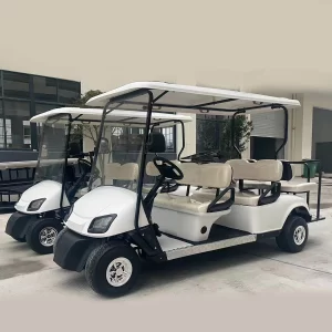 4+2 passenger golf cart