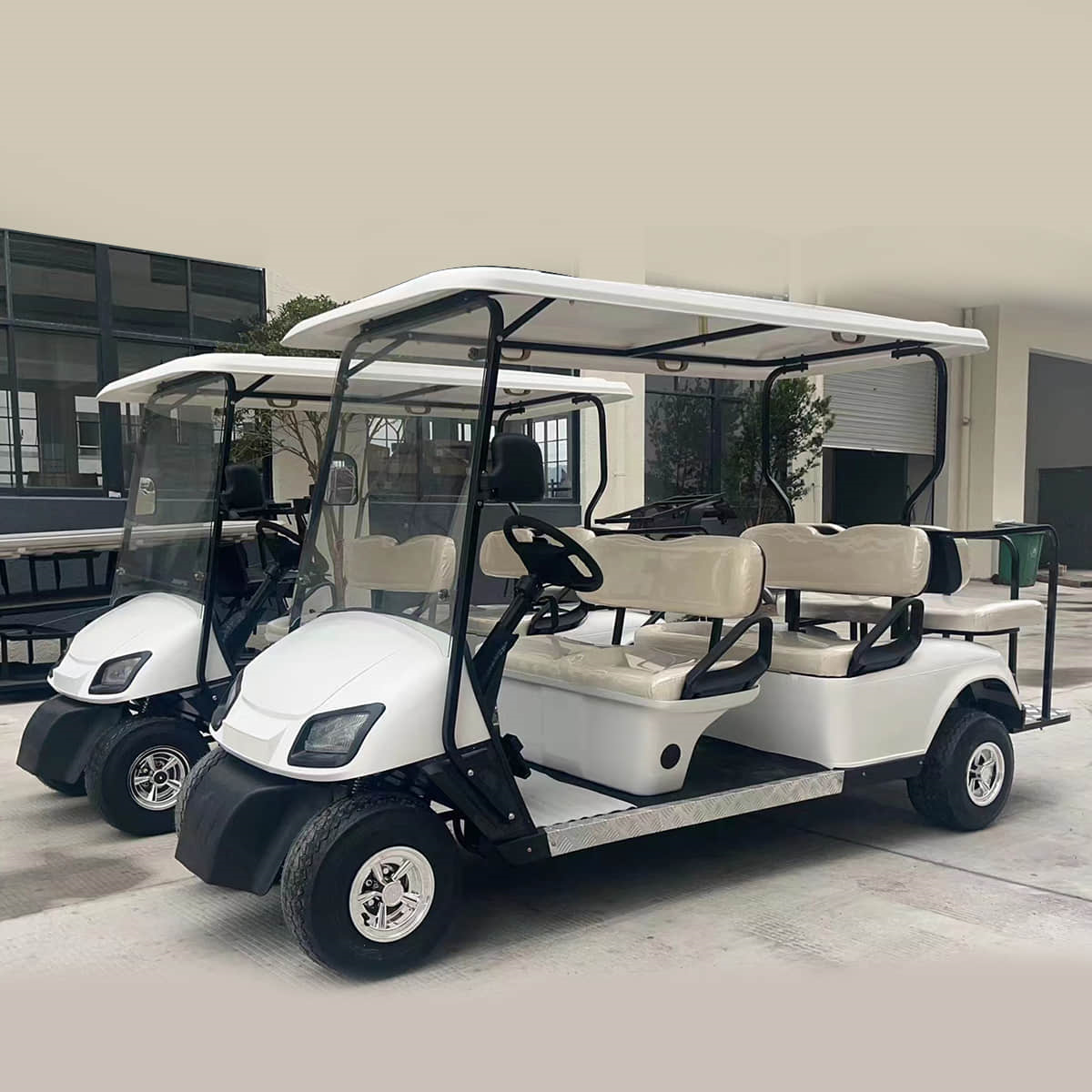 4+2 passenger golf cart