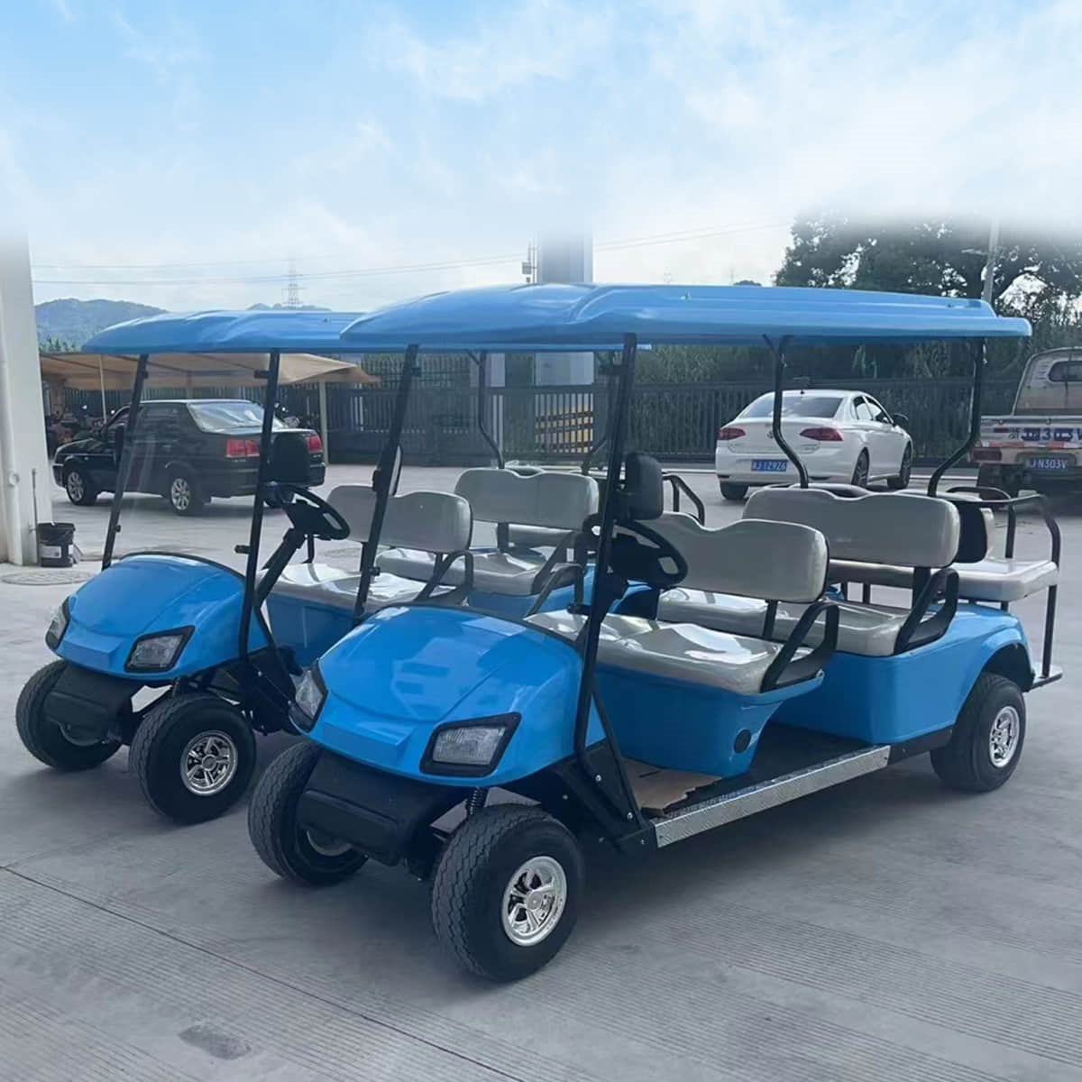 6 passenger golf cart