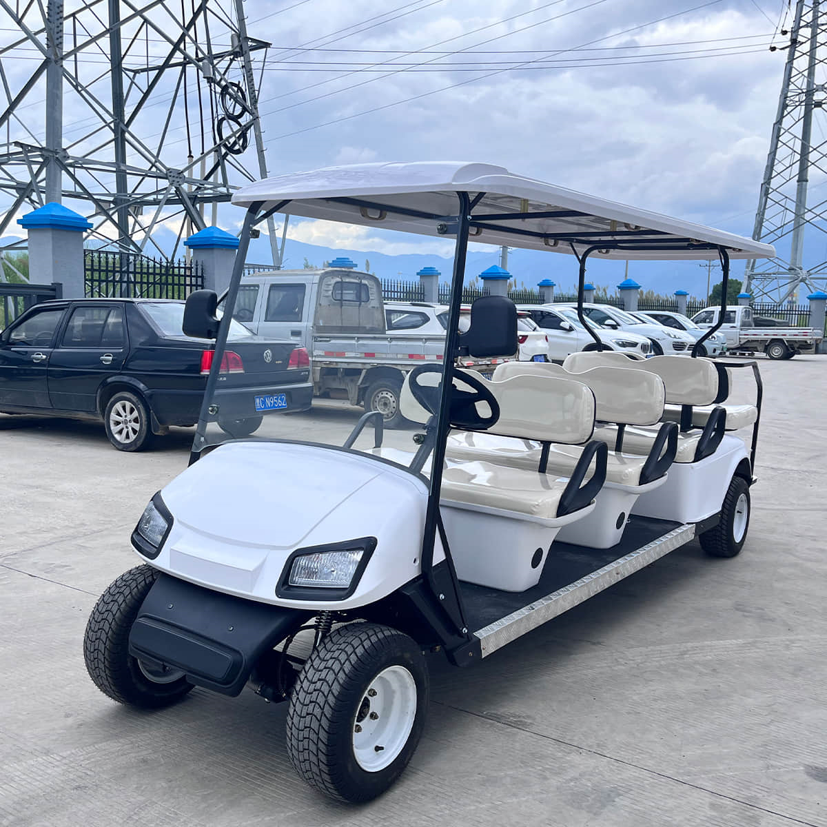 6+2 seater golf cart