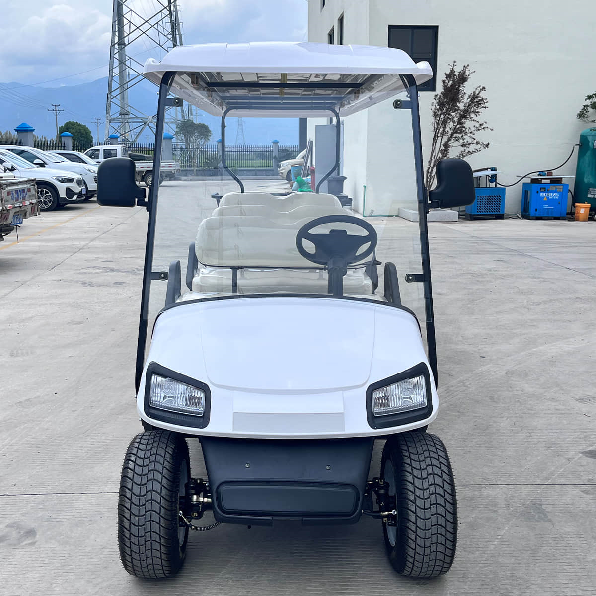 8 passenger golf cart