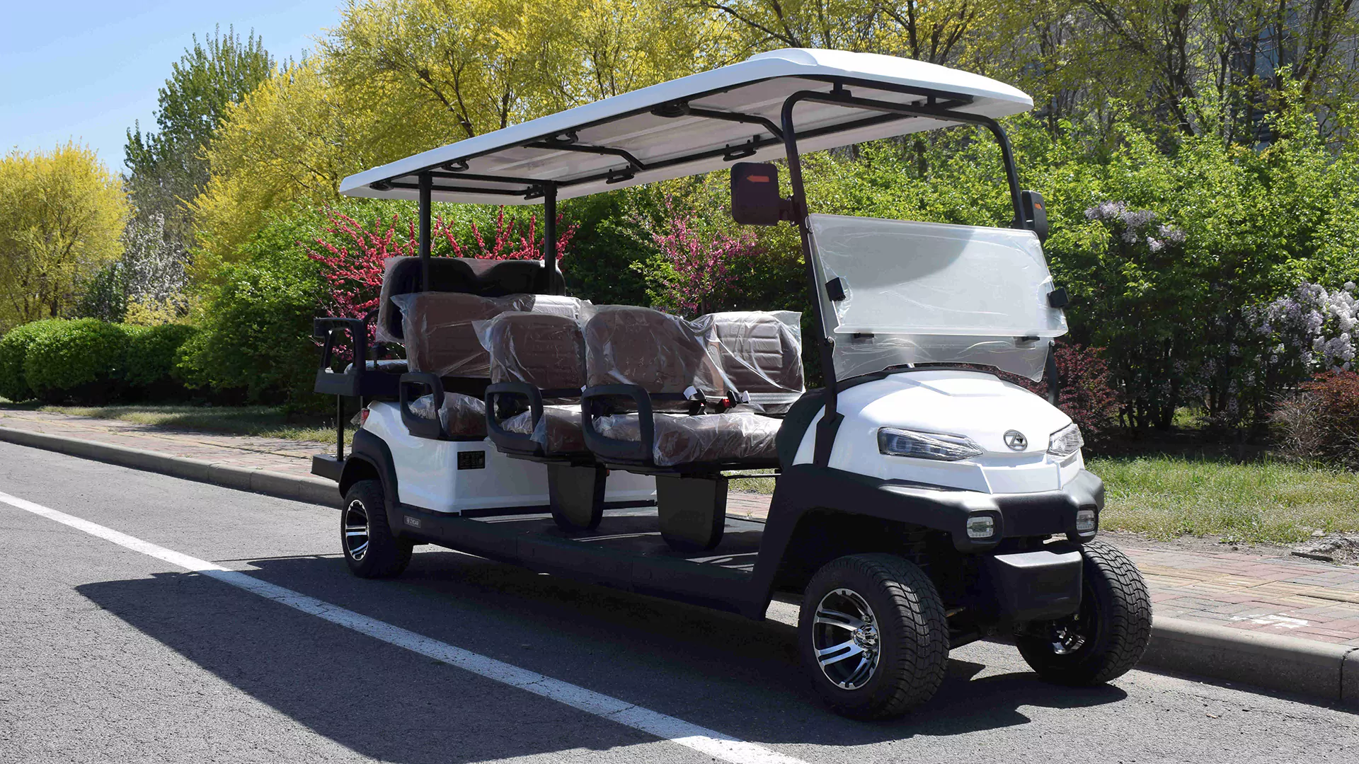 Golf Cart 16 g b1