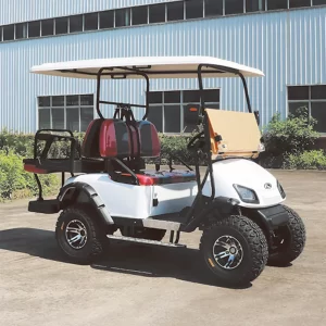 2+2 Seater Gasoline lifted Golf Cart