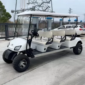 High quality 6 Seats Gasoline Golf Cart cheaper than club car