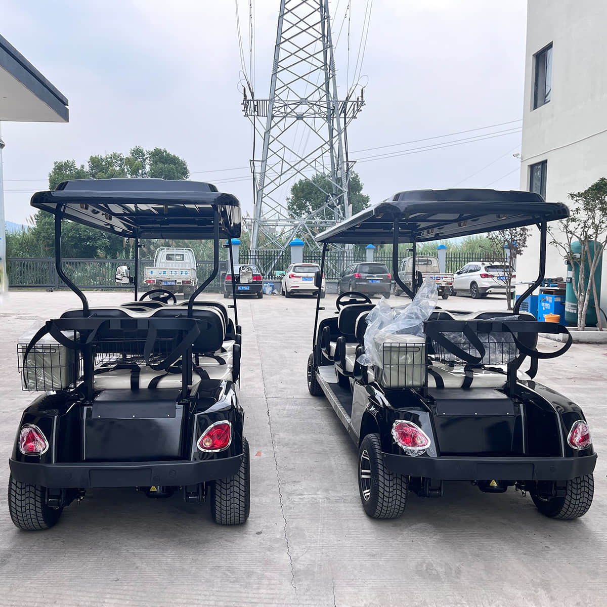 4+2 seater golf cart