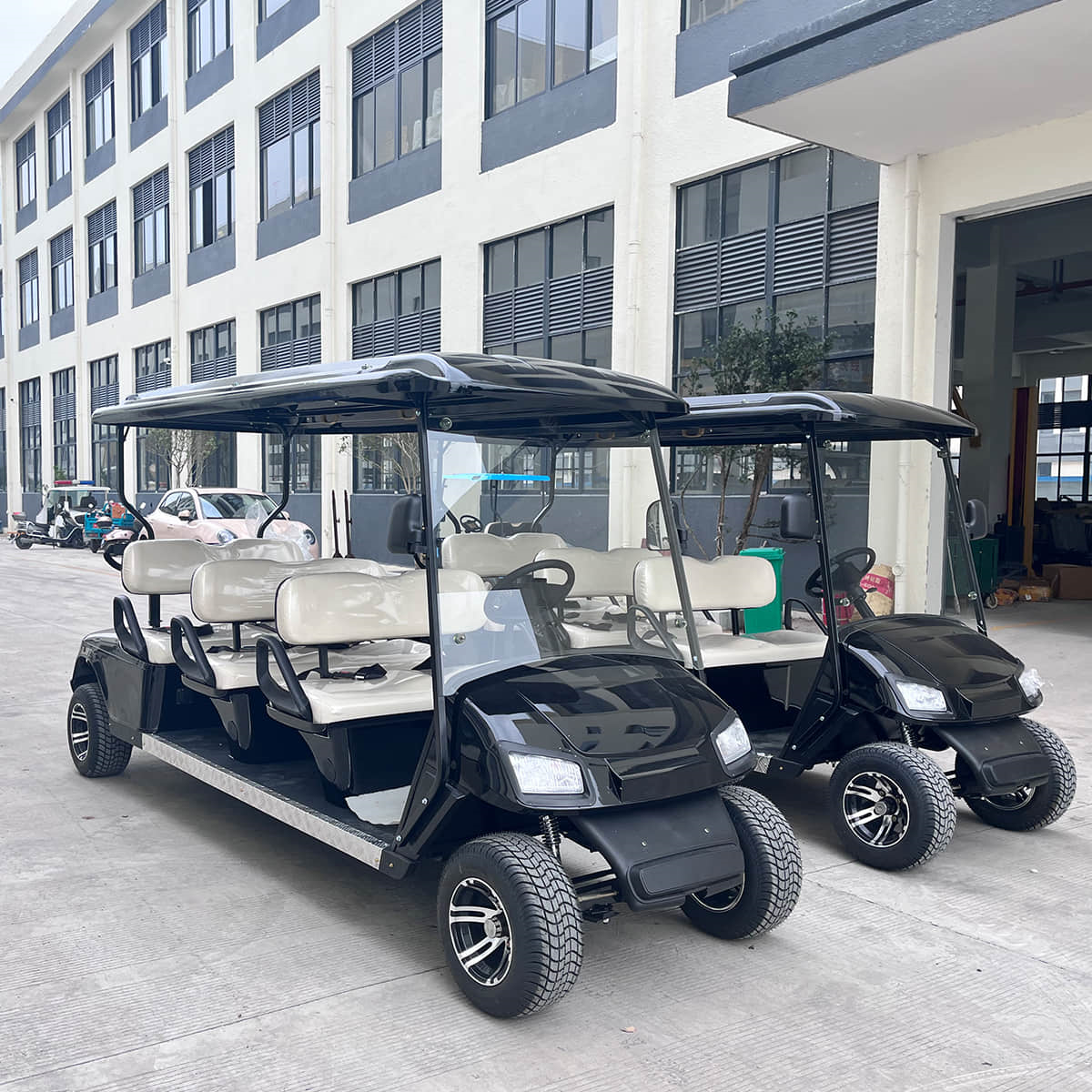 6 passenger golf buggy