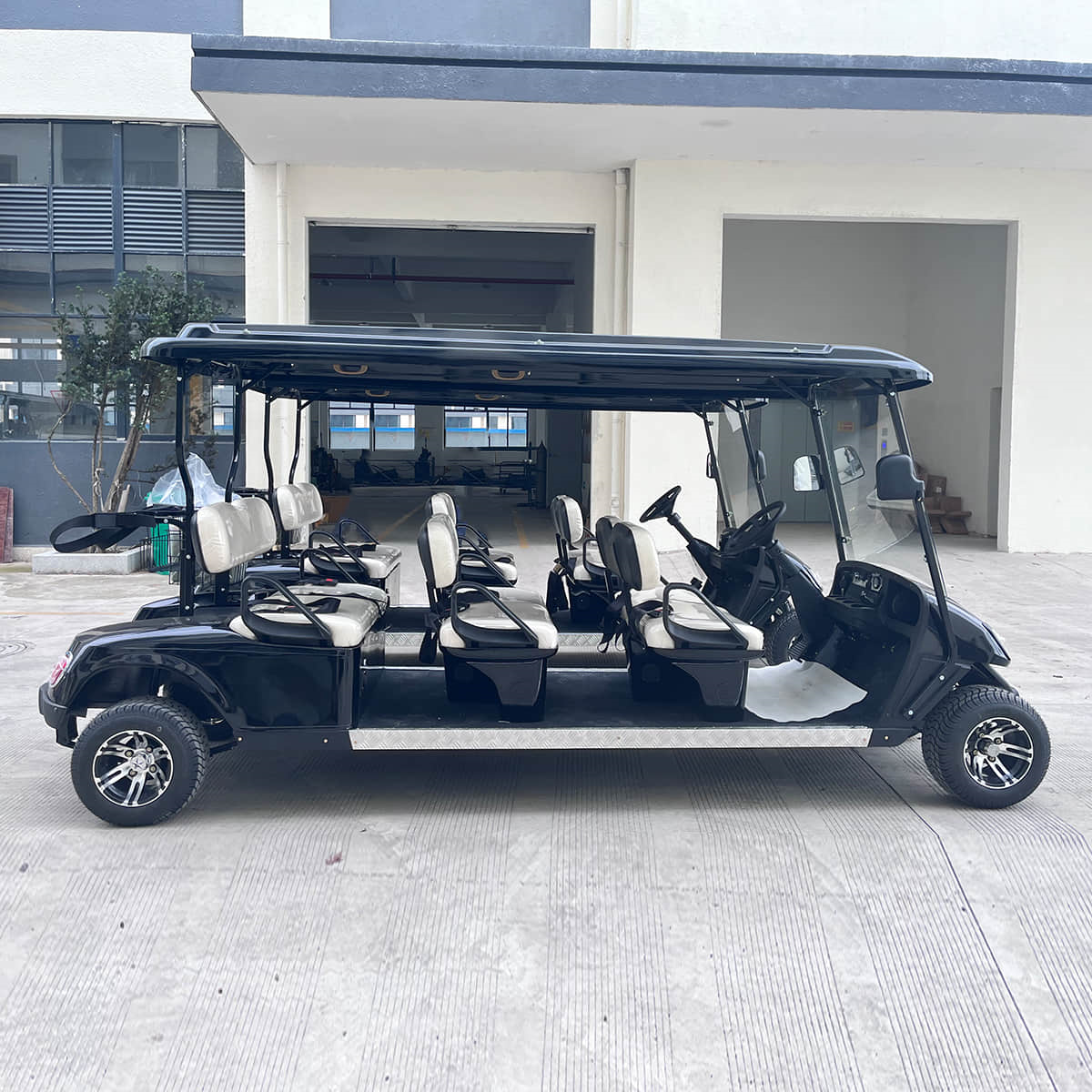 6 seater golf cart