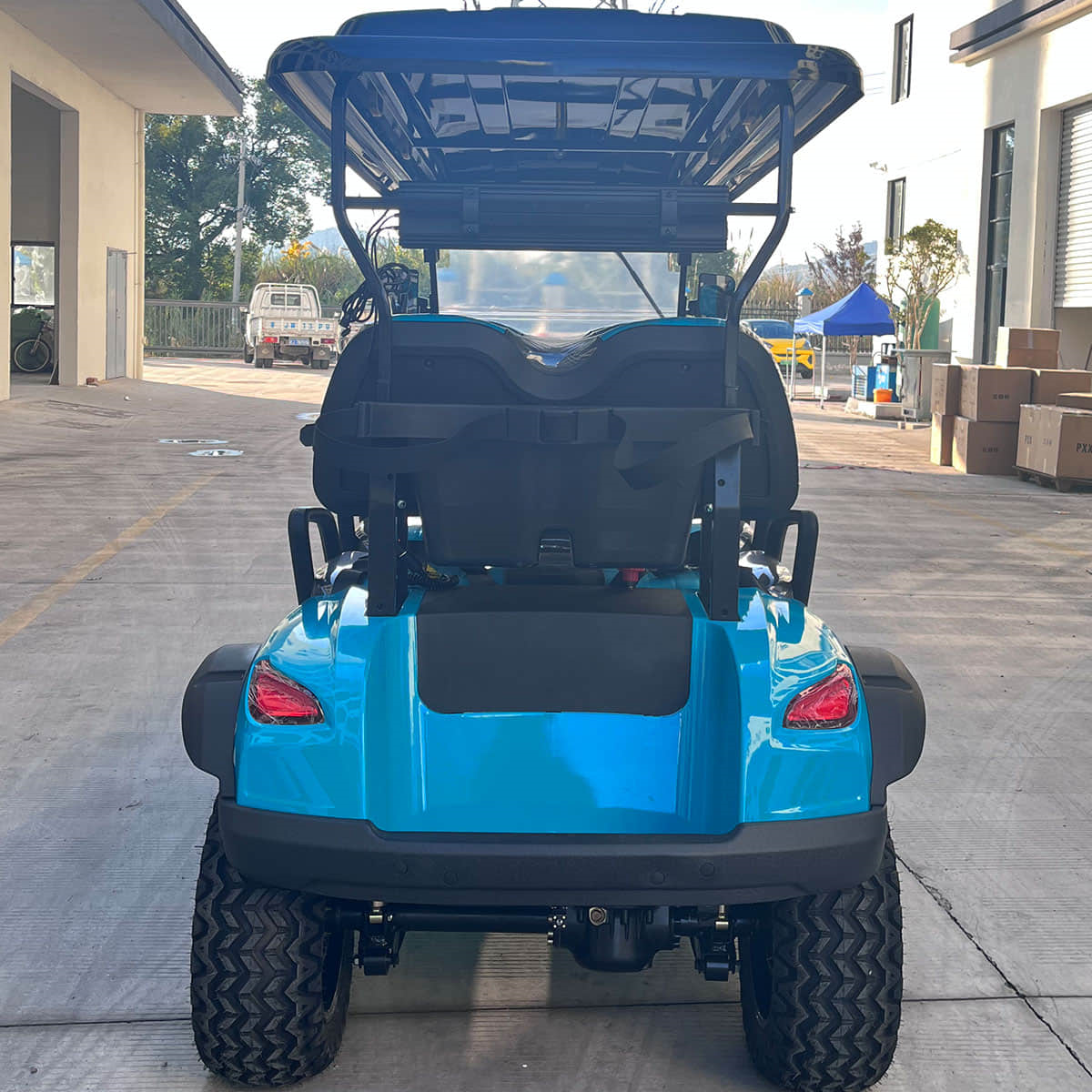 6 seater golf cart
