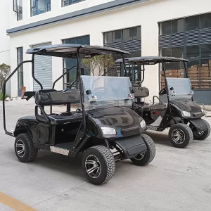 2-seater-golf-cart