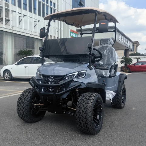 I am a golf cart and I speak for myself 23 2 seater golf cart