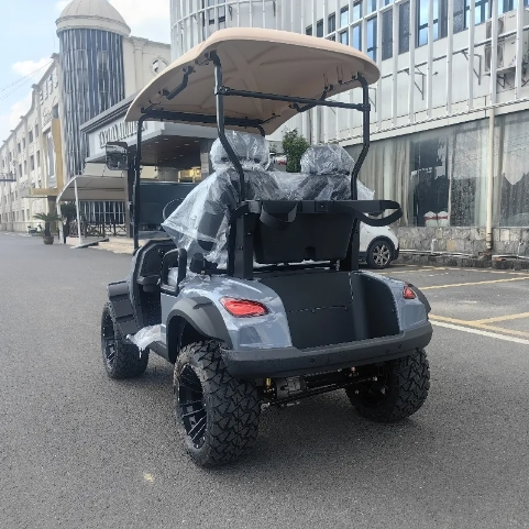 2 seater lifted golf cart