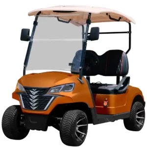 2 seats golf cart